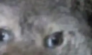 _xMaryQueenx live VR cam preview